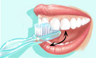 Zahnputztechnik-wie-putzt-man-die-zahne-richtig-gegen-mundgeruch-bakterien-ku64-zahnarzt-berlin-